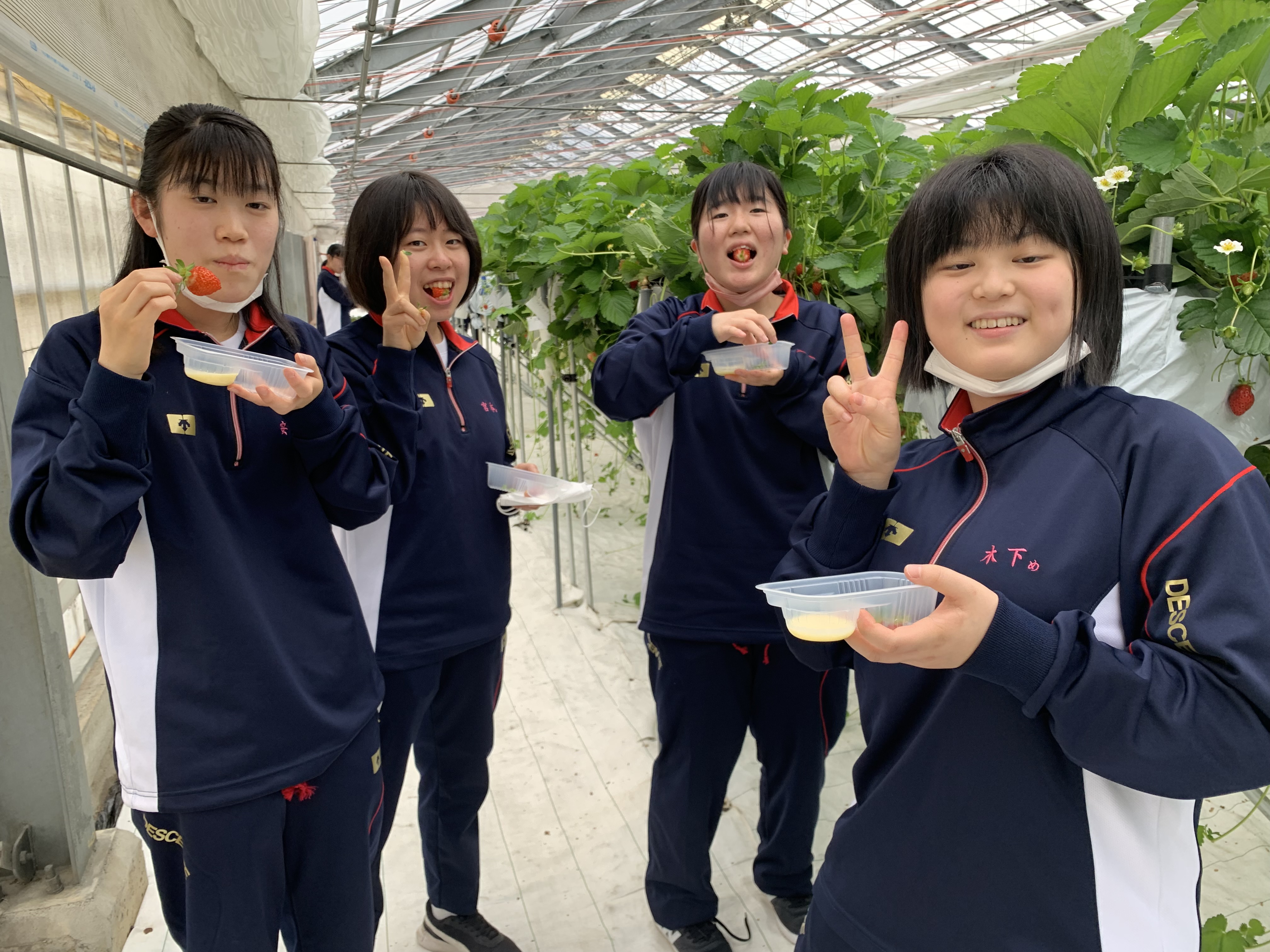 活動歴および当時の関連ビジュアル記録